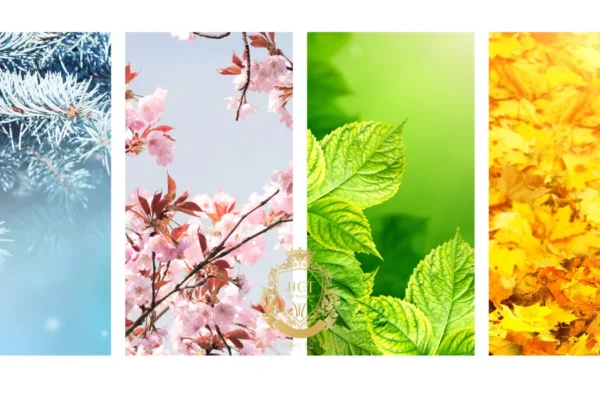 Antes e depois do transplante capilar FUE