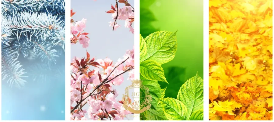 Em que estação do ano deve ser realizado um transplante capilar?