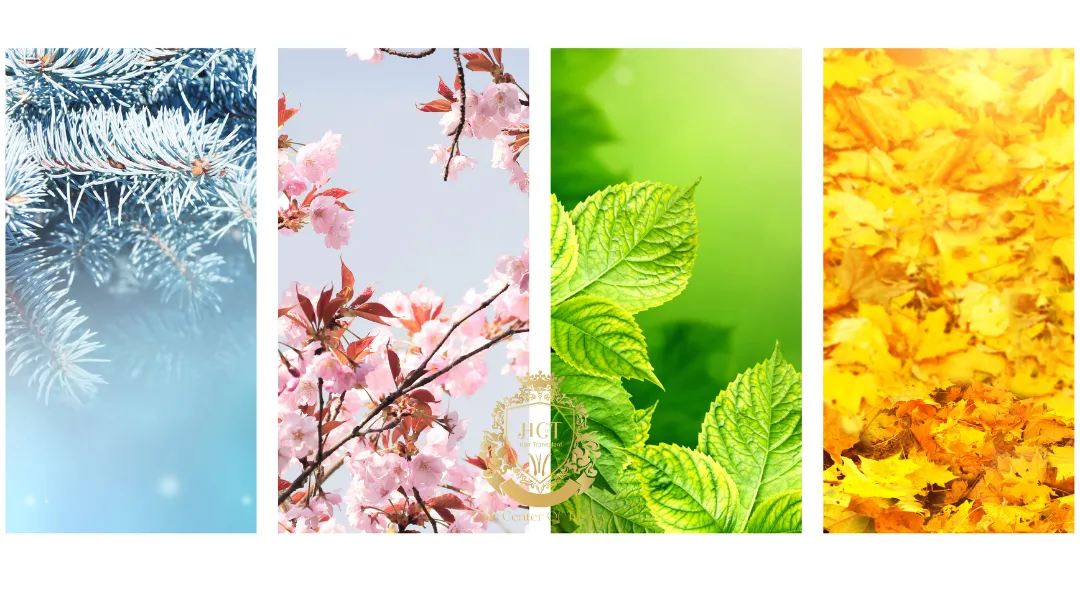 À quelle saison faut-il effectuer une greffe de cheveux ?