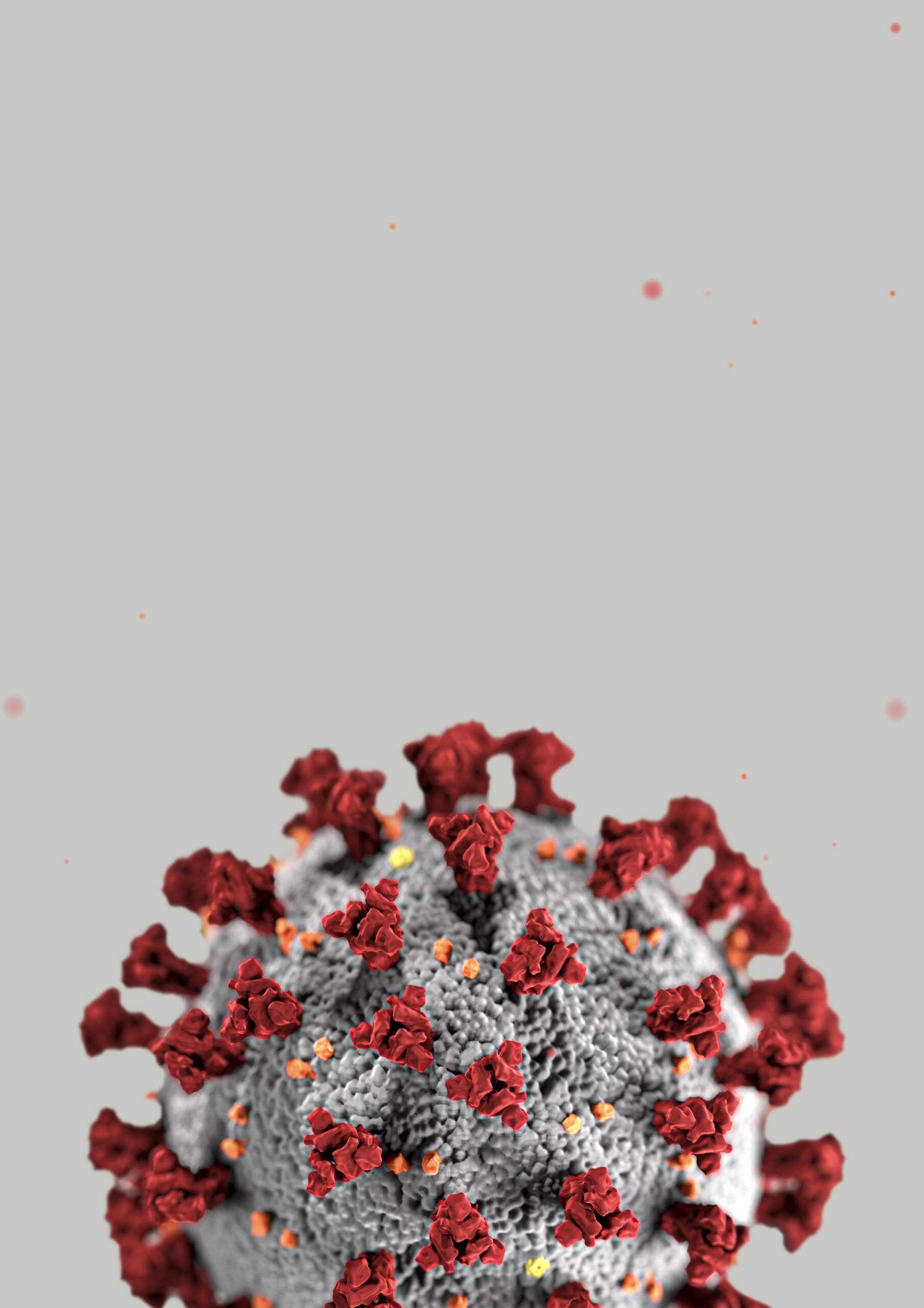 coronavirus gray background scaled