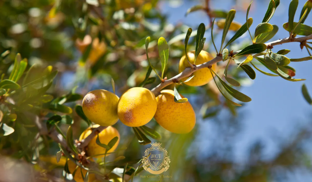 argan oil for hair