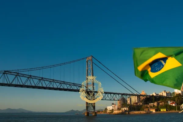 Haartransplantationskliniken in Brasilien – Die besten Haartransplantationschirurgen, Kosten und Verfahren Erklärt