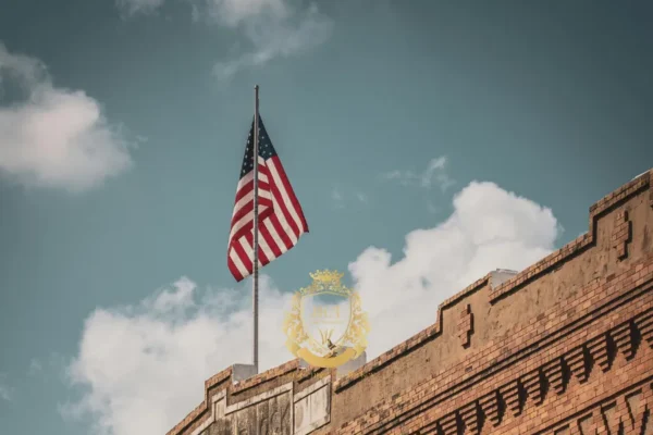 Hair Transplant Clinics in the USA – Best Hair Transplant Surgeons, Costs & Procedures Explained