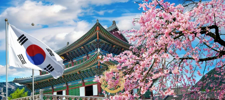 Haartransplantatieklinieken in Seoul: beste chirurgen, kosten en procedures uitgelegd