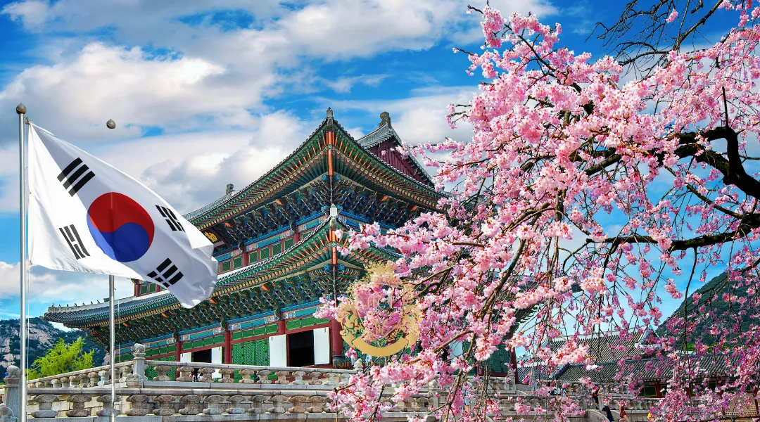 Haartransplantatieklinieken in Seoul: beste chirurgen, kosten en procedures uitgelegd