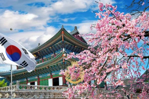 Haartransplantationskliniken in Seoul: Beste Chirurgen, Kosten & Verfahren erklärt