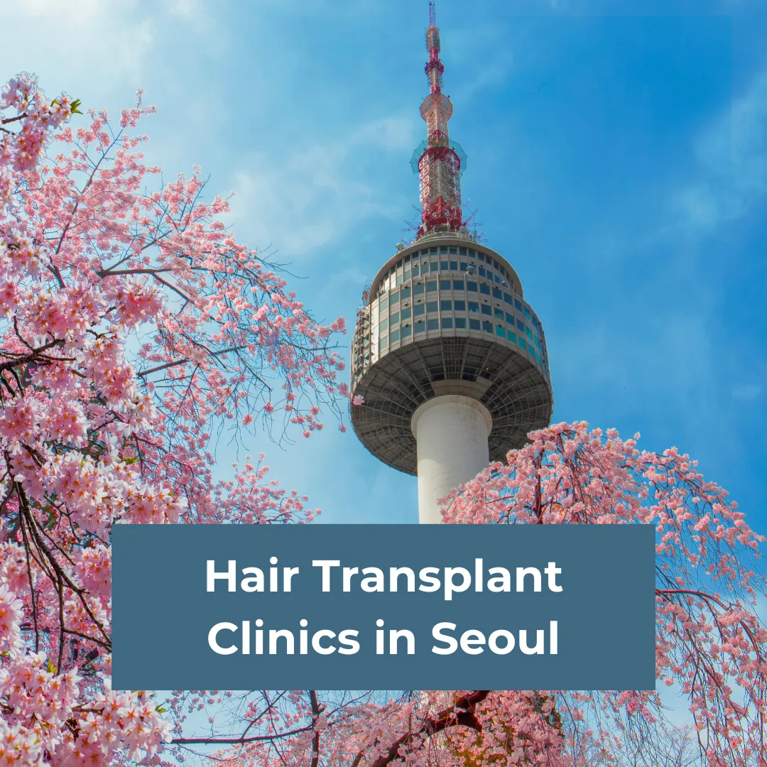 Hair Transplant Clinics in Seoul