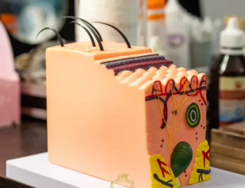 Was ist die Haarstruktur und wie wirkt sie sich auf Ihre Frisur aus?