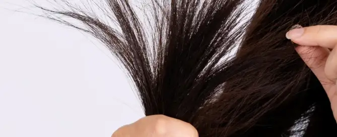 brittle hair and hair thinning