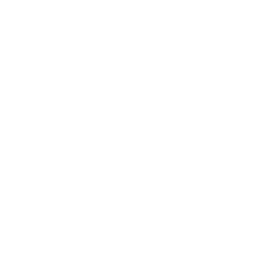 carviptrasnsfer