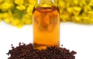 mustard oil benefits for hair