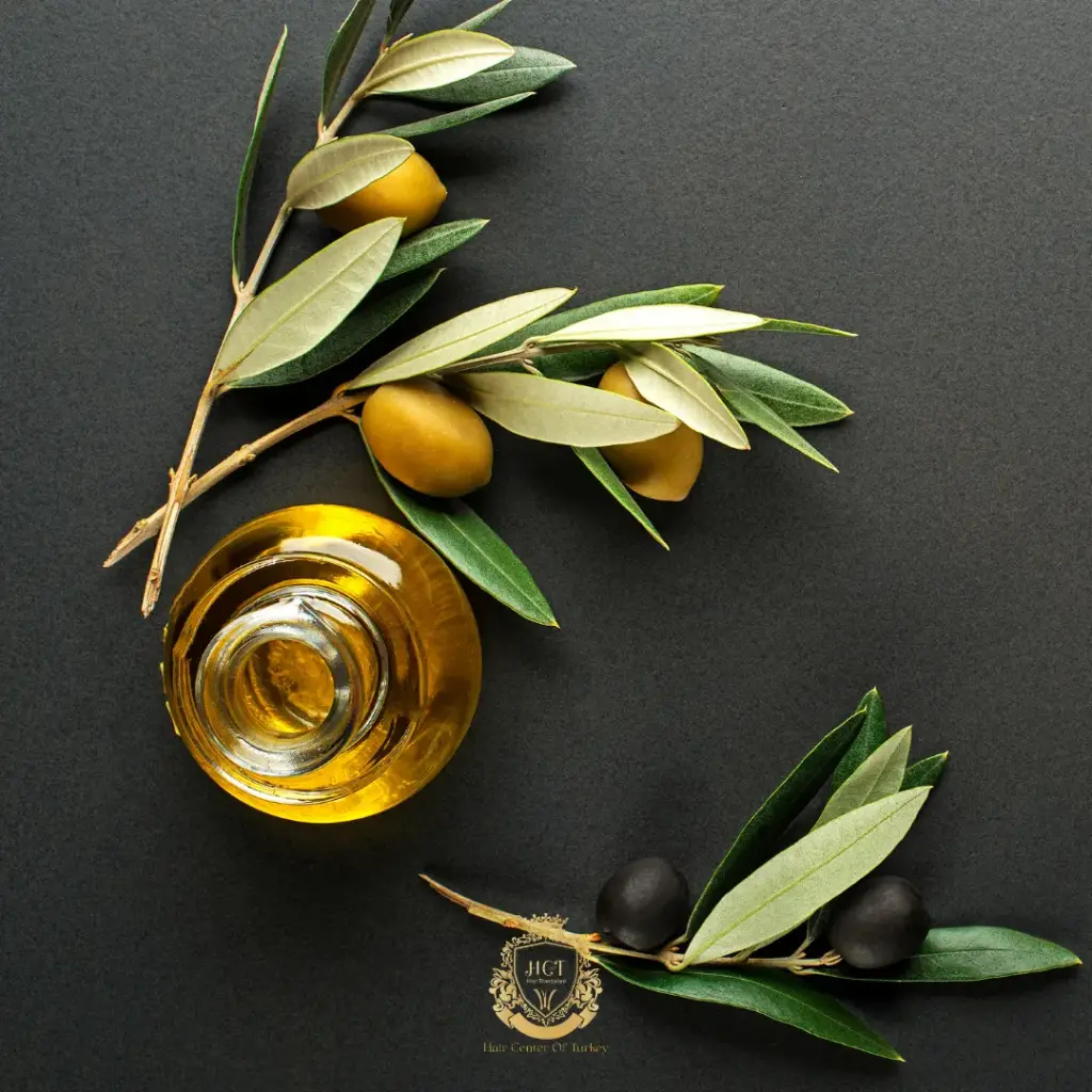 olive oil for hair growth