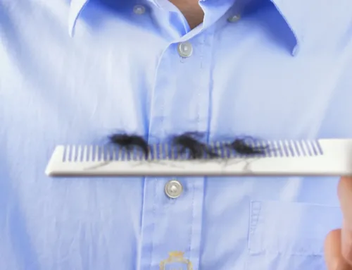 Wat veroorzaakt schaamhaaruitval