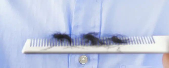 pubic hair loss