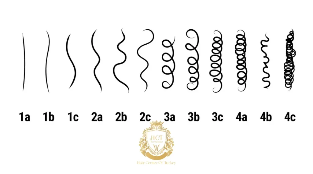 Types de cheveux afro 4A, 4B et 4C : différences, soins et conseils de coiffage