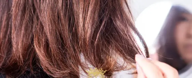 How To Fix Broken Hair F