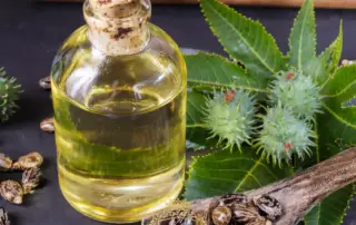 Is Castor Oil Good for Your Hair F