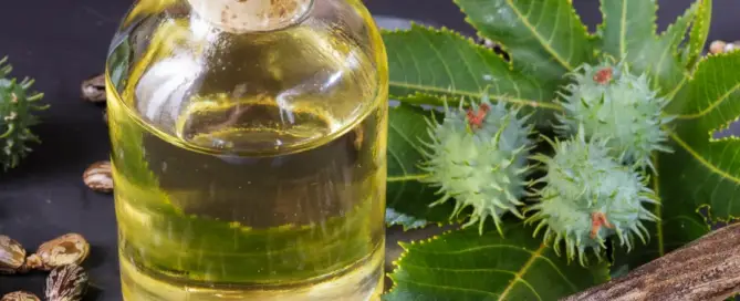 Is Castor Oil Good for Your Hair F
