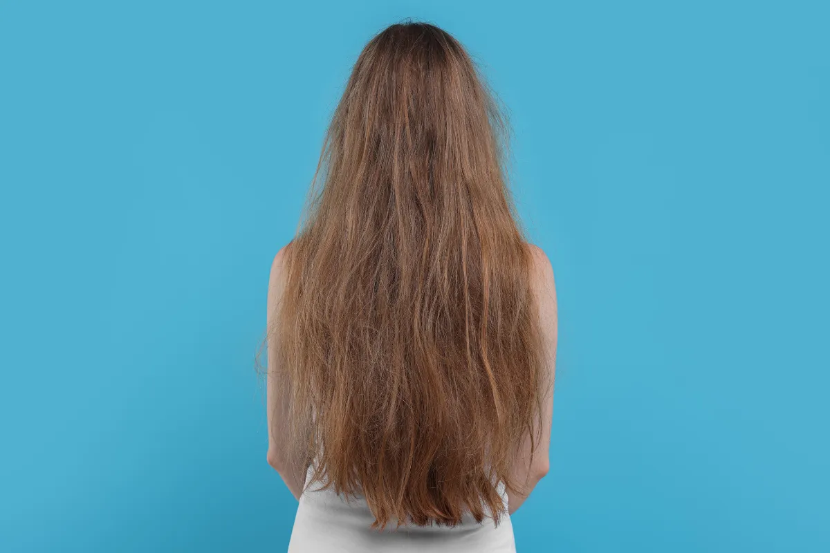 What Is Low Porosity Hair and How Do You Keep It Moisturized 1