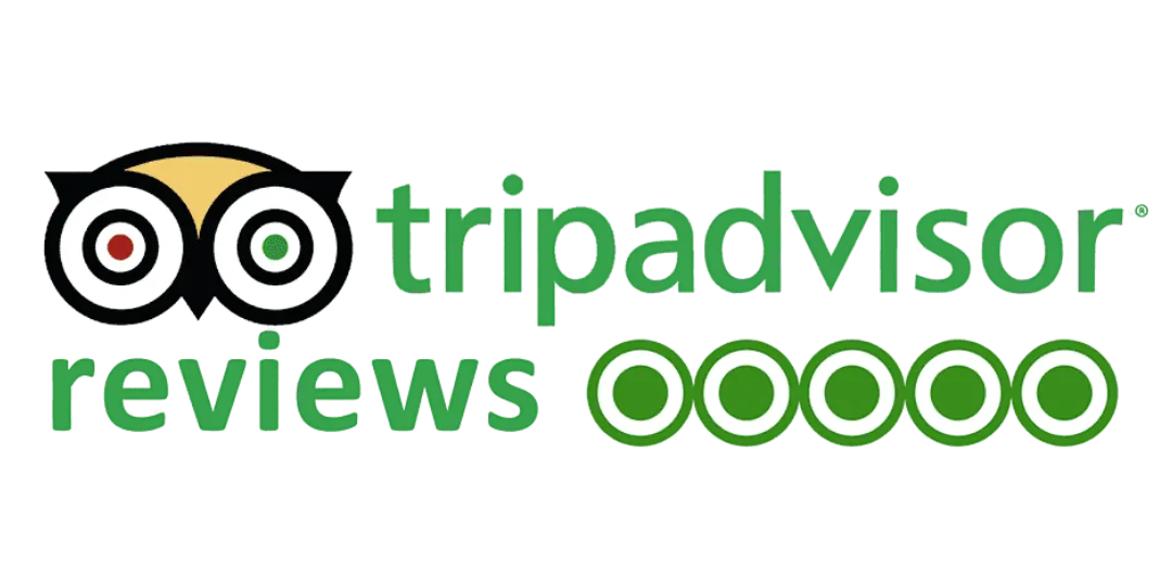 tripadvisor reviews 1