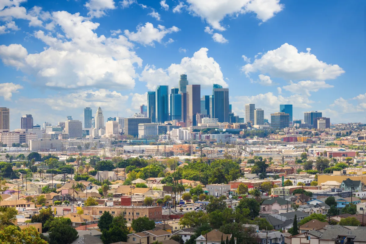 Is Los Angeles or Istanbul Better for a Hair Transplant 2