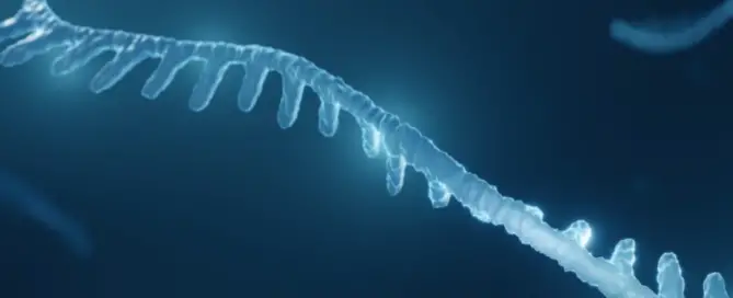What is MicroRNA Therapy F
