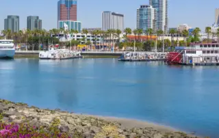 What Are the Best Hair Transplant Clinics in Long Beach F