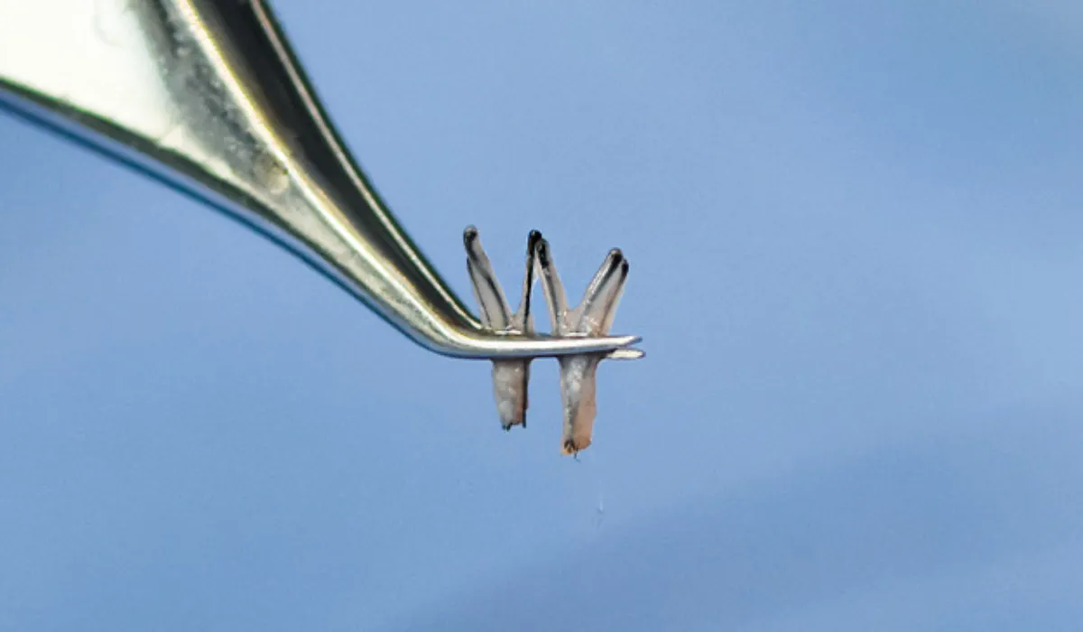 Eminem-Haartransplantatie-7 Eminem-Haartransplantatie-7