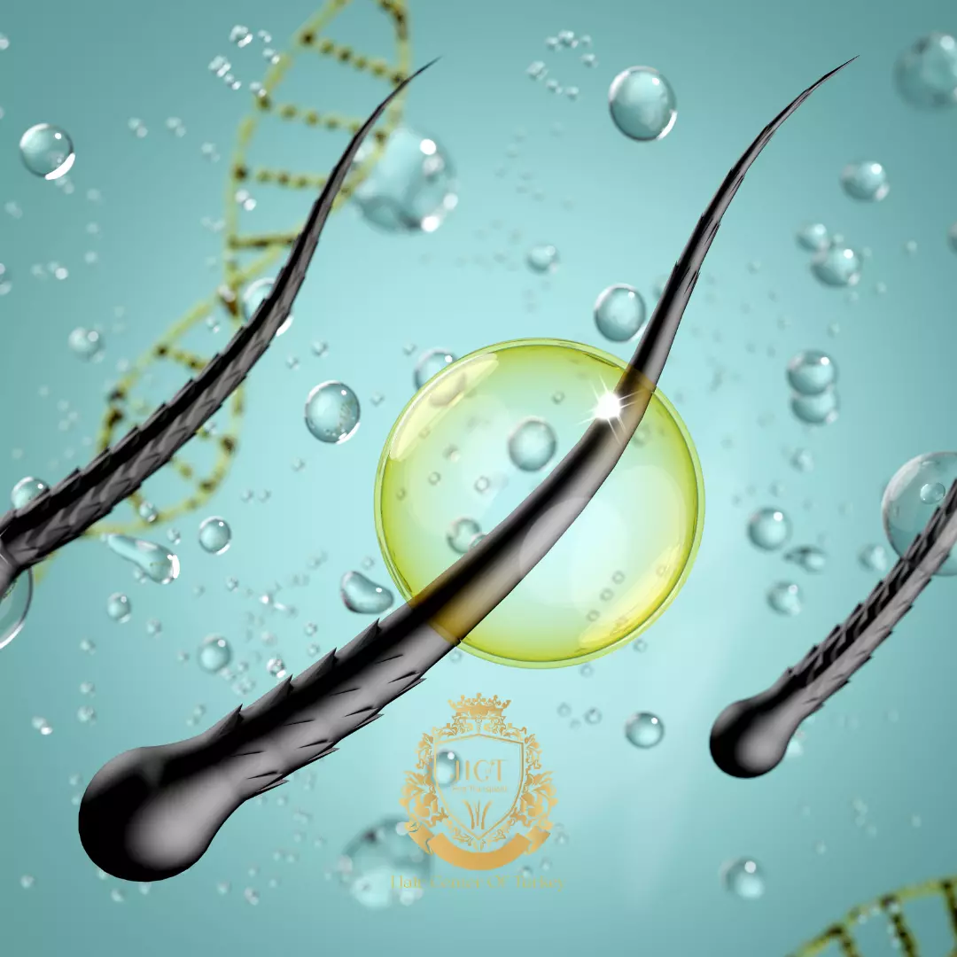 Hoe je je haar sneller kunt laten groeien