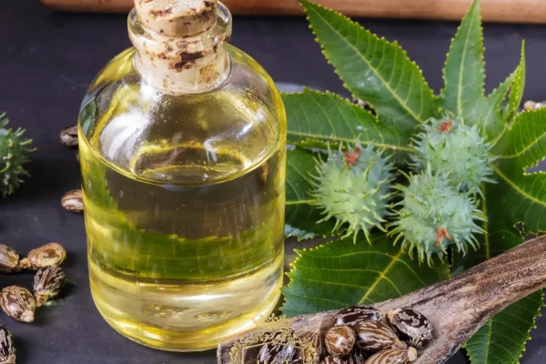 Is Castor Oil Good For Your Hair? Benefits, Limits, And Safe Use