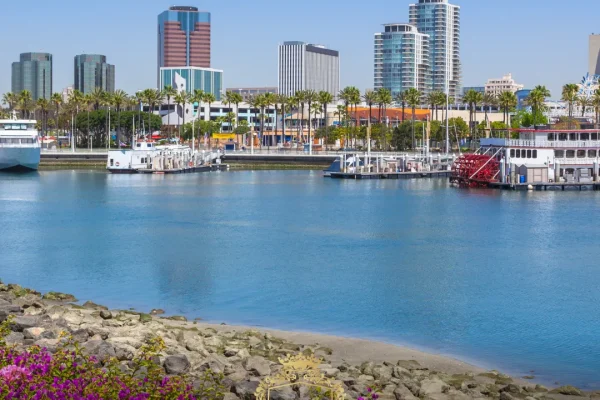 Was sind die besten Haartransplantationskliniken in Long Beach?