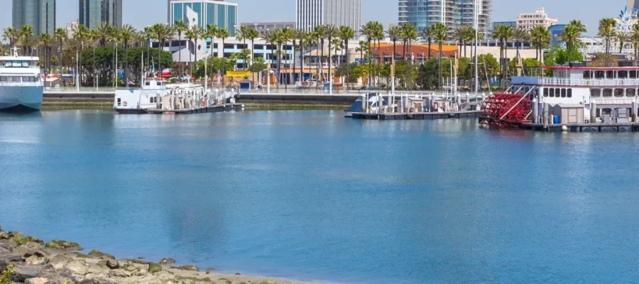 Wat zijn de beste haartransplantatieklinieken in Long Beach F