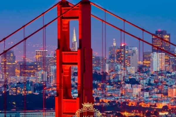 Was sind die besten Haartransplantationskliniken in San Francisco?