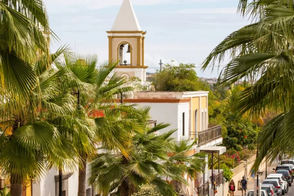 Was sind die besten Haartransplantationskliniken in San Jose?