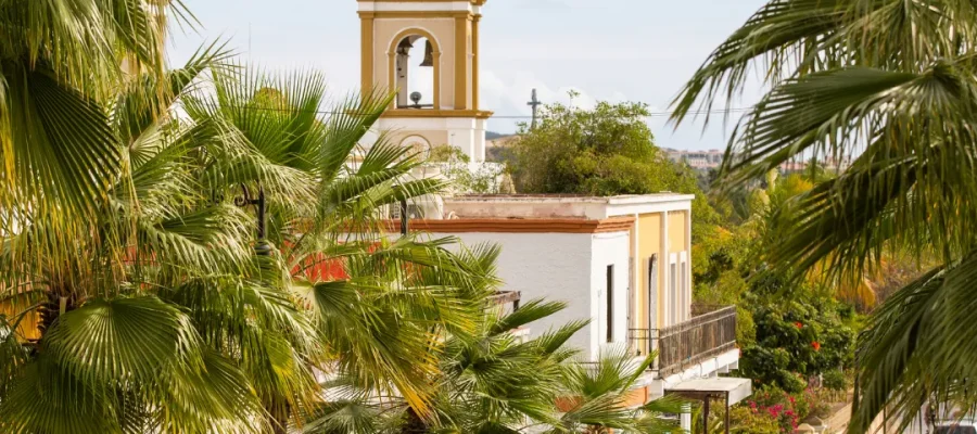 What Are the Best Hair Transplant Clinics in San Jose F