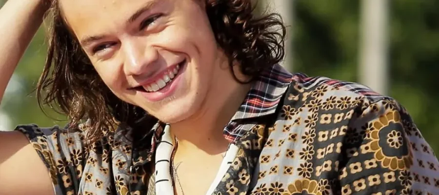 Hat Harry Styles Eine Haartransplantation Gehabt? Was Wir Über Die Gerüchte Wissen