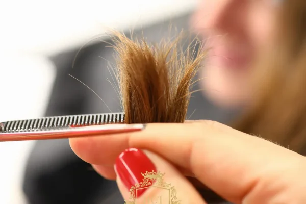 What Is Good for Split Ends? Causes, Fixes, and Prevention Tips (2026)