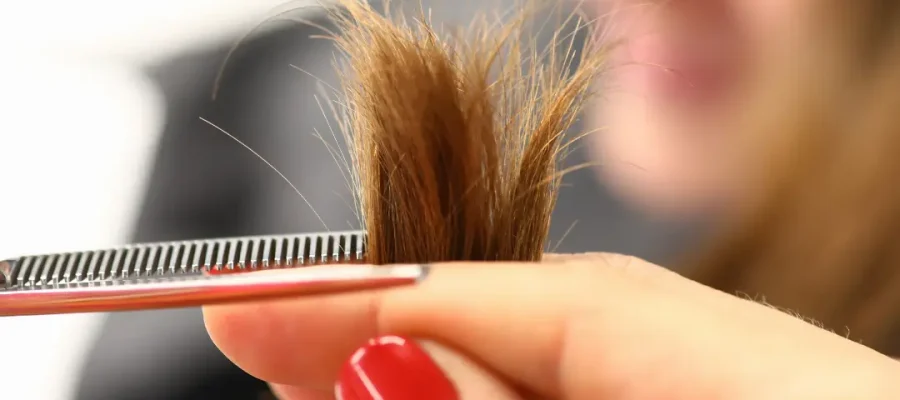 What Is Good for Split Ends? Causes, Fixes, and Prevention Tips (2026)