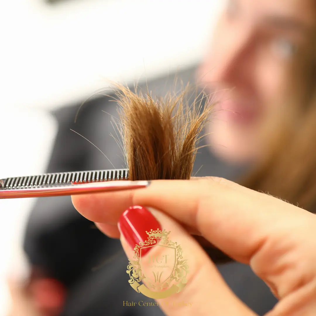 O Que É Bom Para Pontas Duplas? Causas, Soluções E Dicas De Prevenção (2026) 1 O Que É Bom Para Pontas Duplas? Causas, Soluções E Dicas De Prevenção (2026)