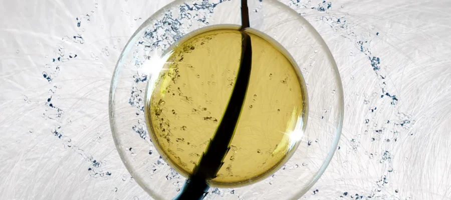 Saç folikülü nedir?