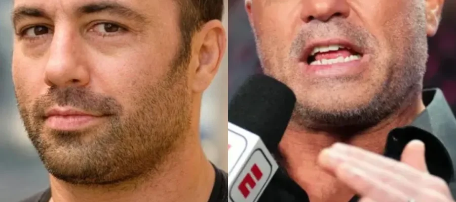 Joe Rogan Hair Transplant Before and After