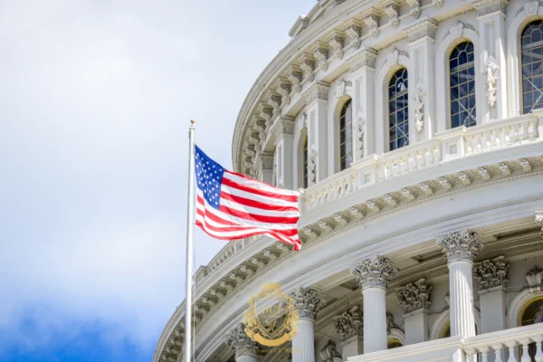 Hair Transplant in Washington