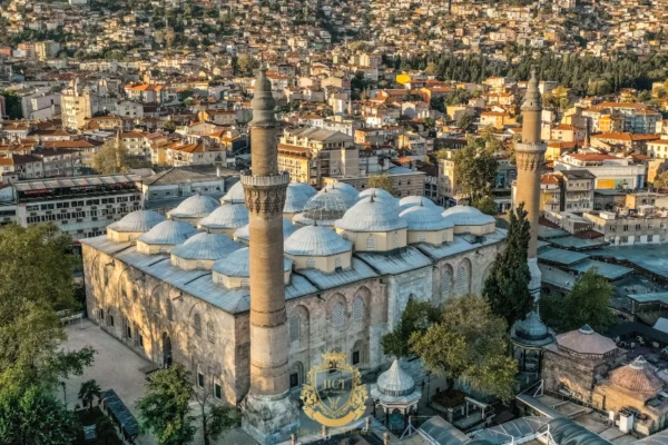 Choisir entre la greffe de cheveux FUE et DHI à Bursa